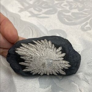 Chrysanthemum Stone Spirit Journey Talisman